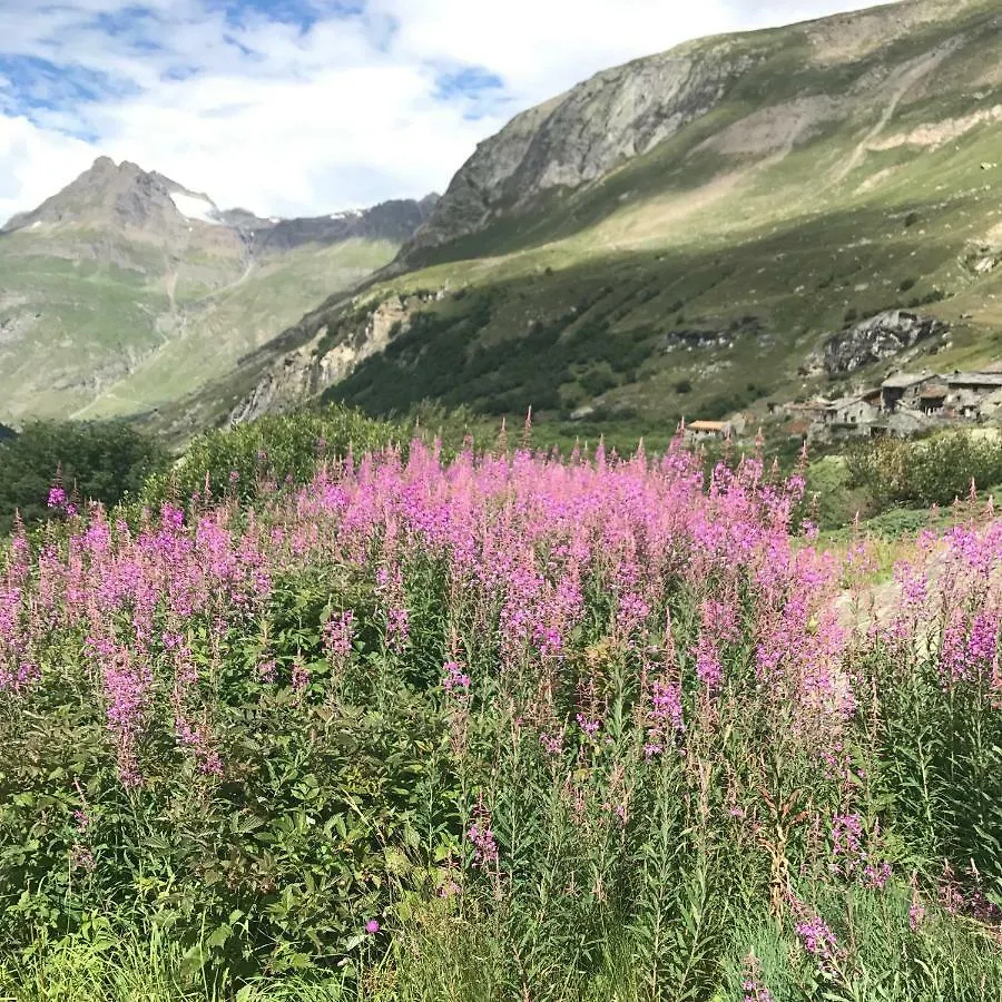 Le Corbier Residence Les Pistes 0*, Le Corbier France